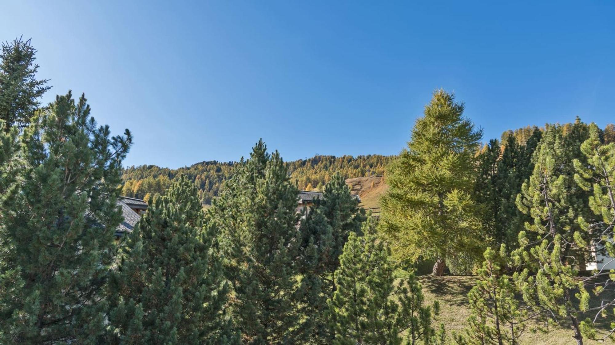 Chesa Sarvit - Celerina Apartment Celerina/Schlarigna Екстериор снимка